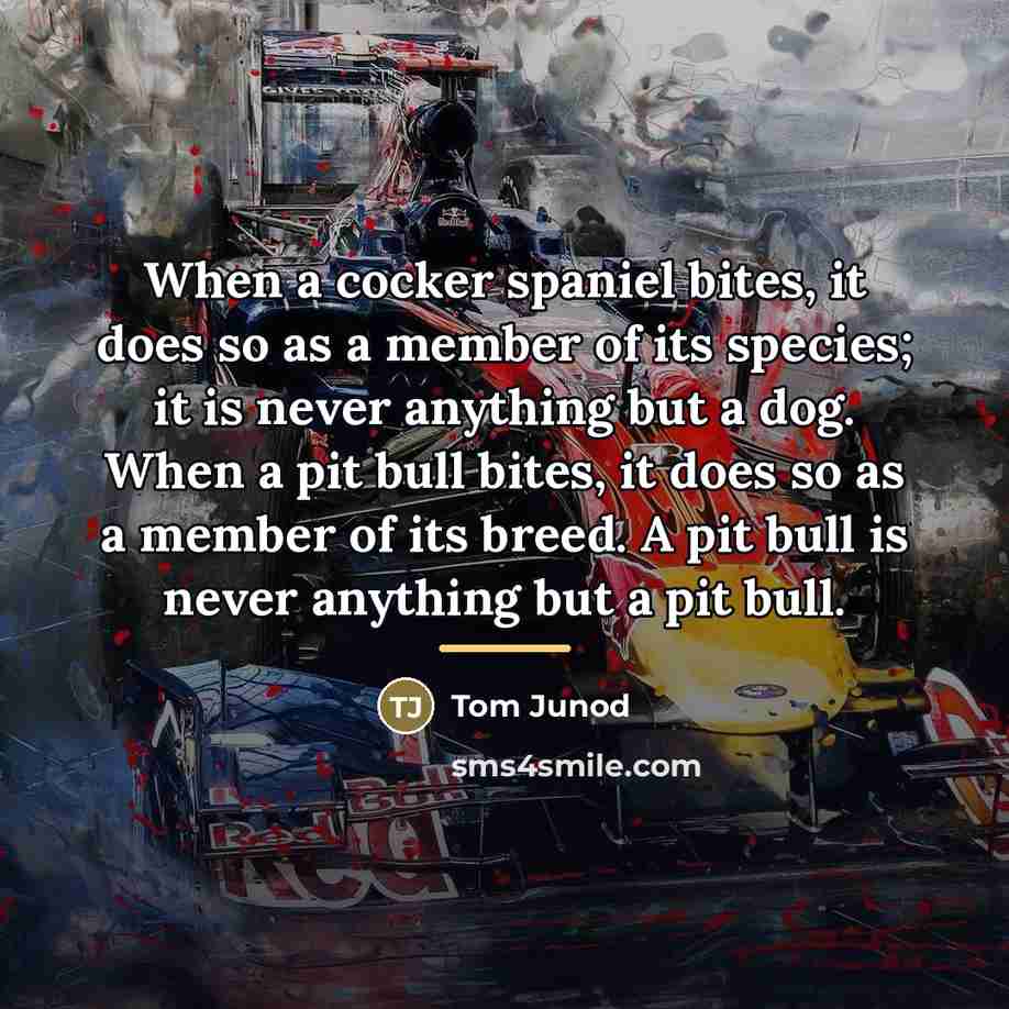 “When a cocker spaniel bites, it does so as a…” quote by Tom Junod