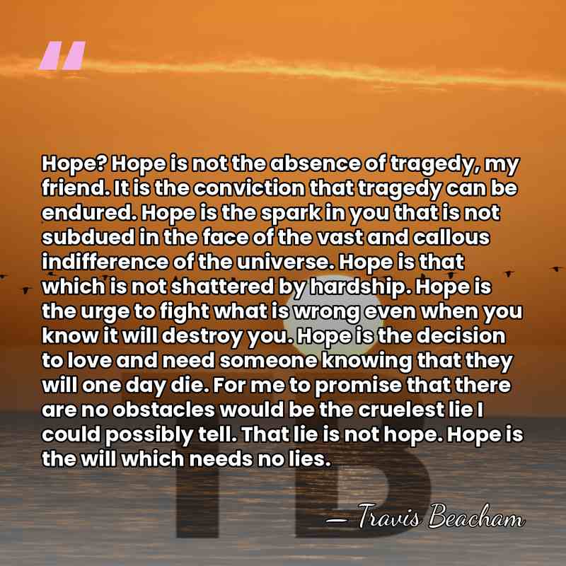 Hope? Hope is not the absence of tragedy, my friend. It is&hellip; - Travis Beacham