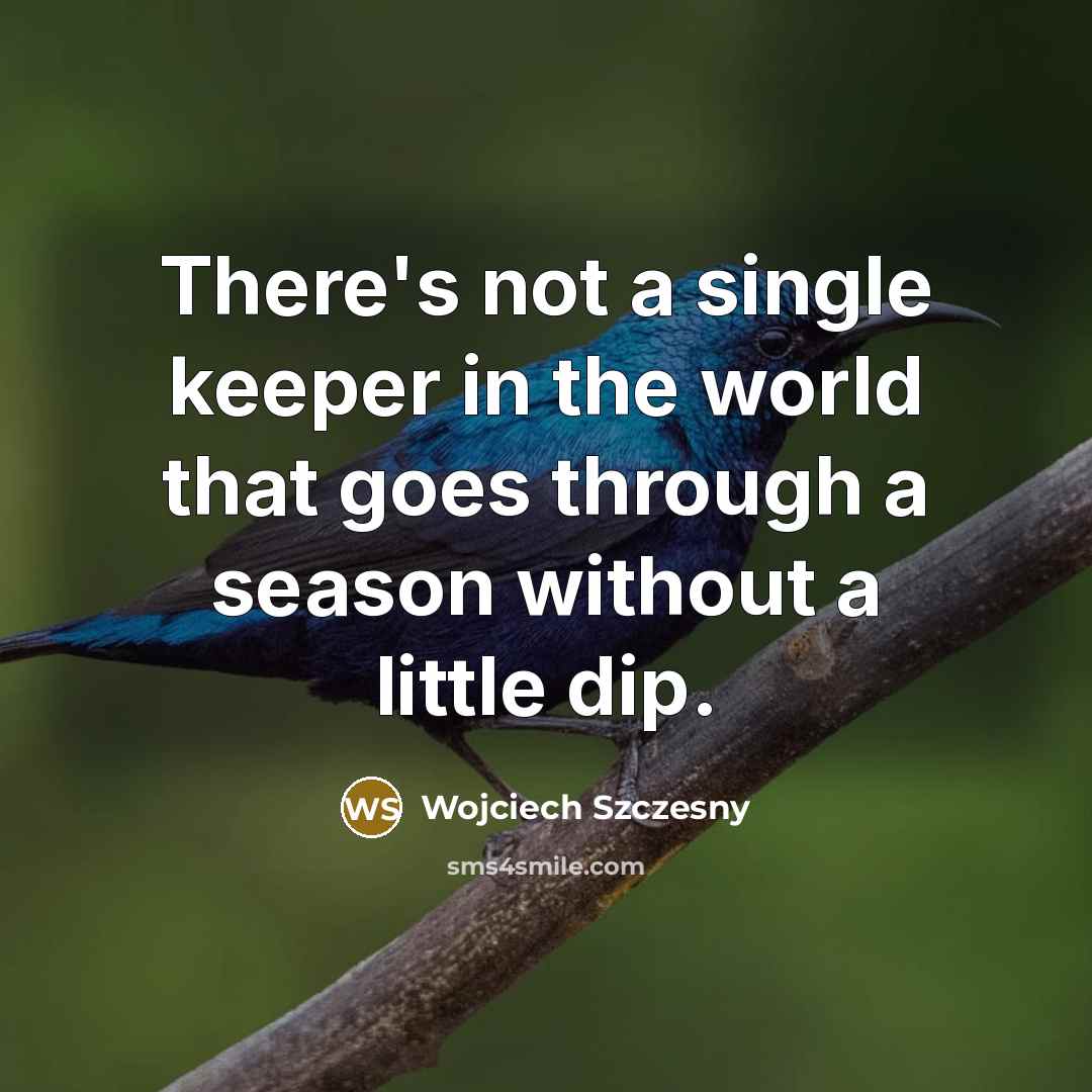 “There's not a single keeper in the world that goes…” quote by Wojciech Szczesny