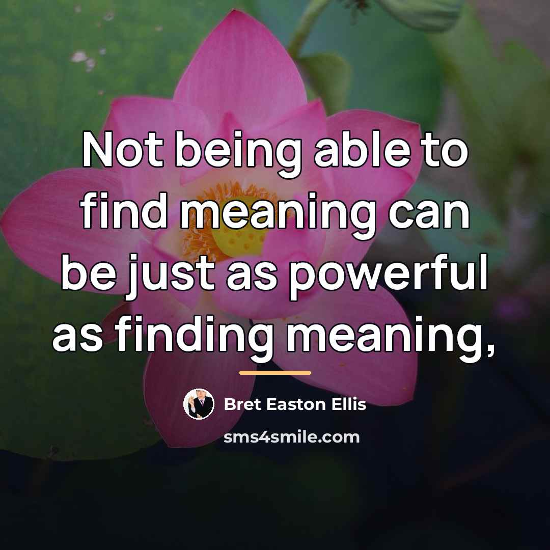 “Not being able to find meaning can be just as…” quote by Bret Easton Ellis
