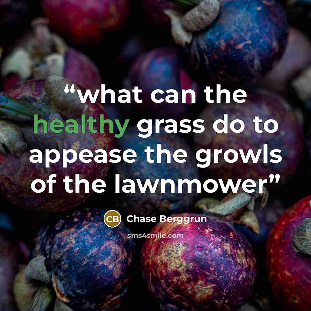“what can the healthy grass do to appease the growls of the lawnmower” quote by Chase Berggrun