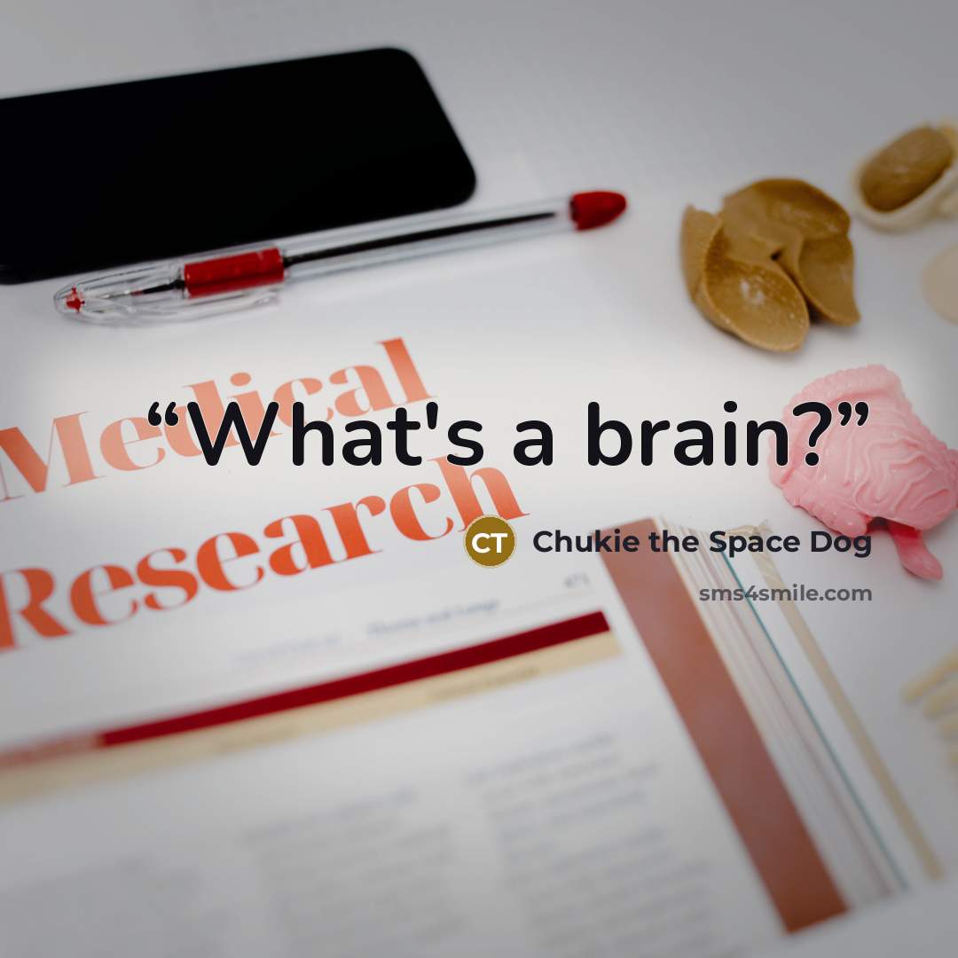 “What's a brain?” quote by Chukie the Space Dog