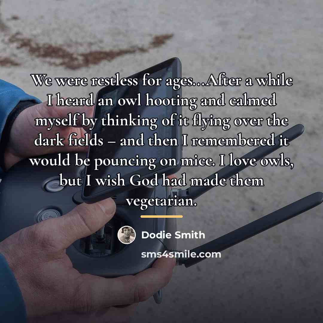 “We were restless for ages...After a while I heard an…” quote by Dodie Smith