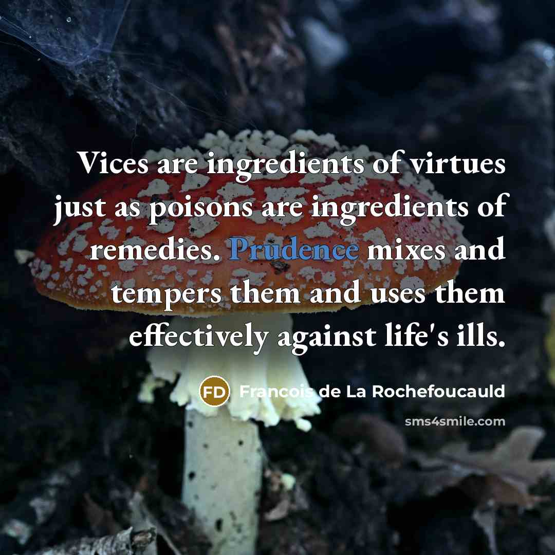 “Vices are ingredients of virtues just as poisons are ingredients…” quote by Francois de La Rochefoucauld