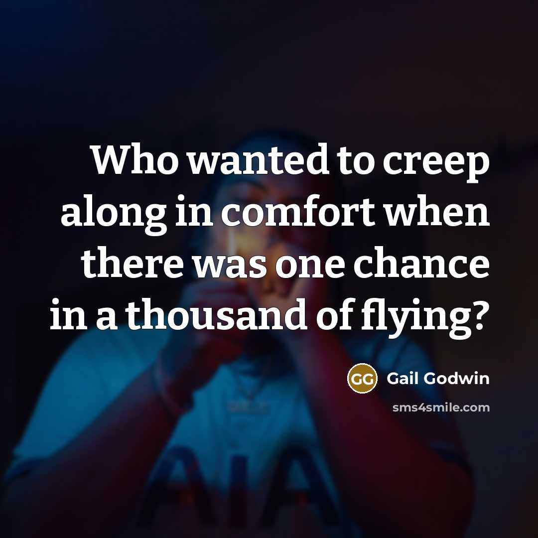 “Who wanted to creep along in comfort when there was…” quote by Gail Godwin