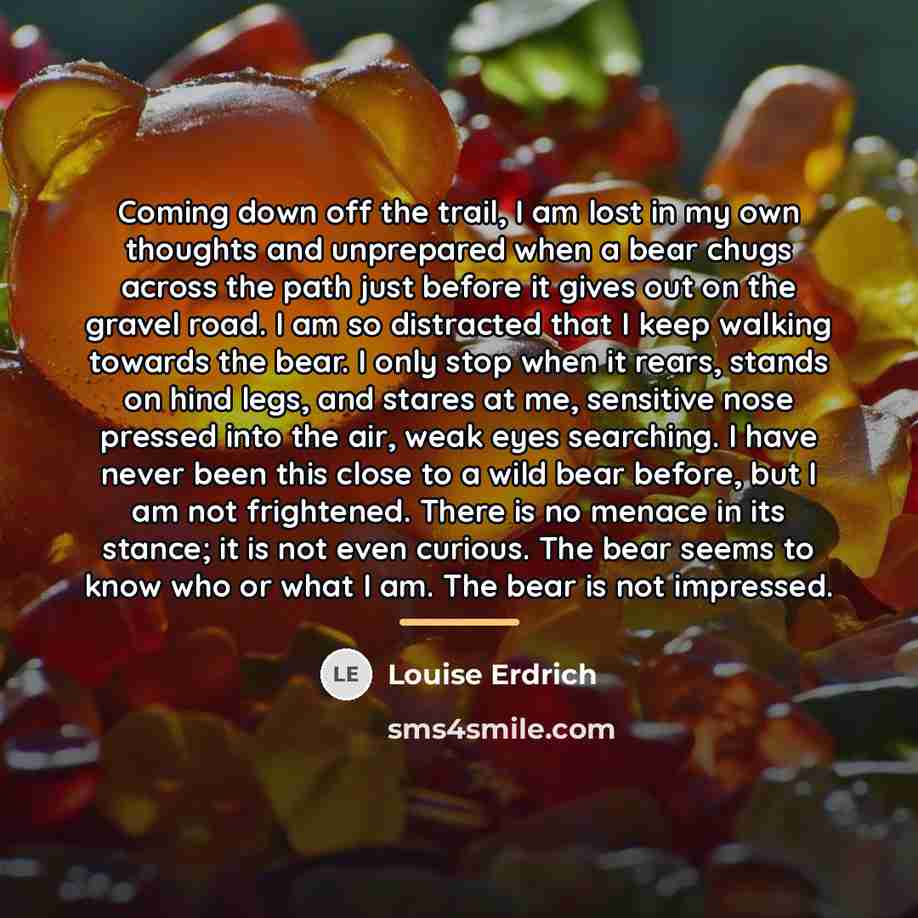 “Coming down off the trail, I am lost in my…” quote by Louise Erdrich