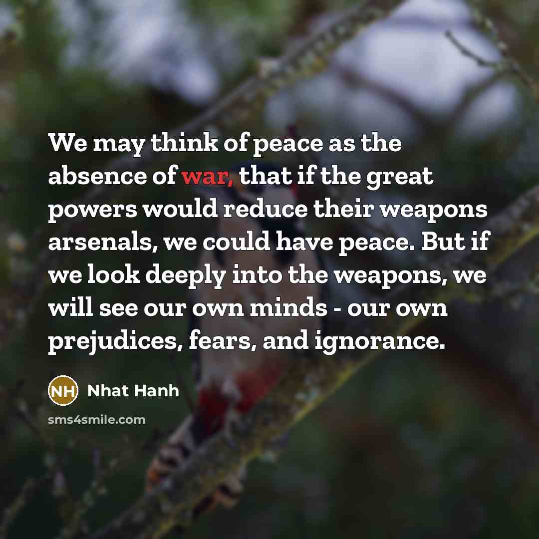 “We may think of peace as the absence of war,…” quote by Nhat Hanh