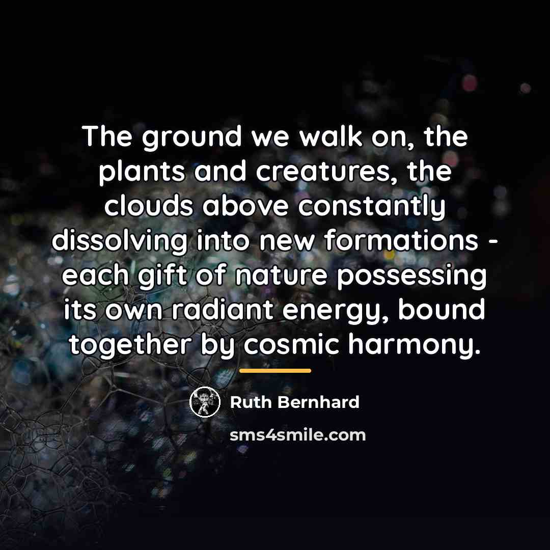 “The ground we walk on, the plants and creatures, the…” quote by Ruth Bernhard
