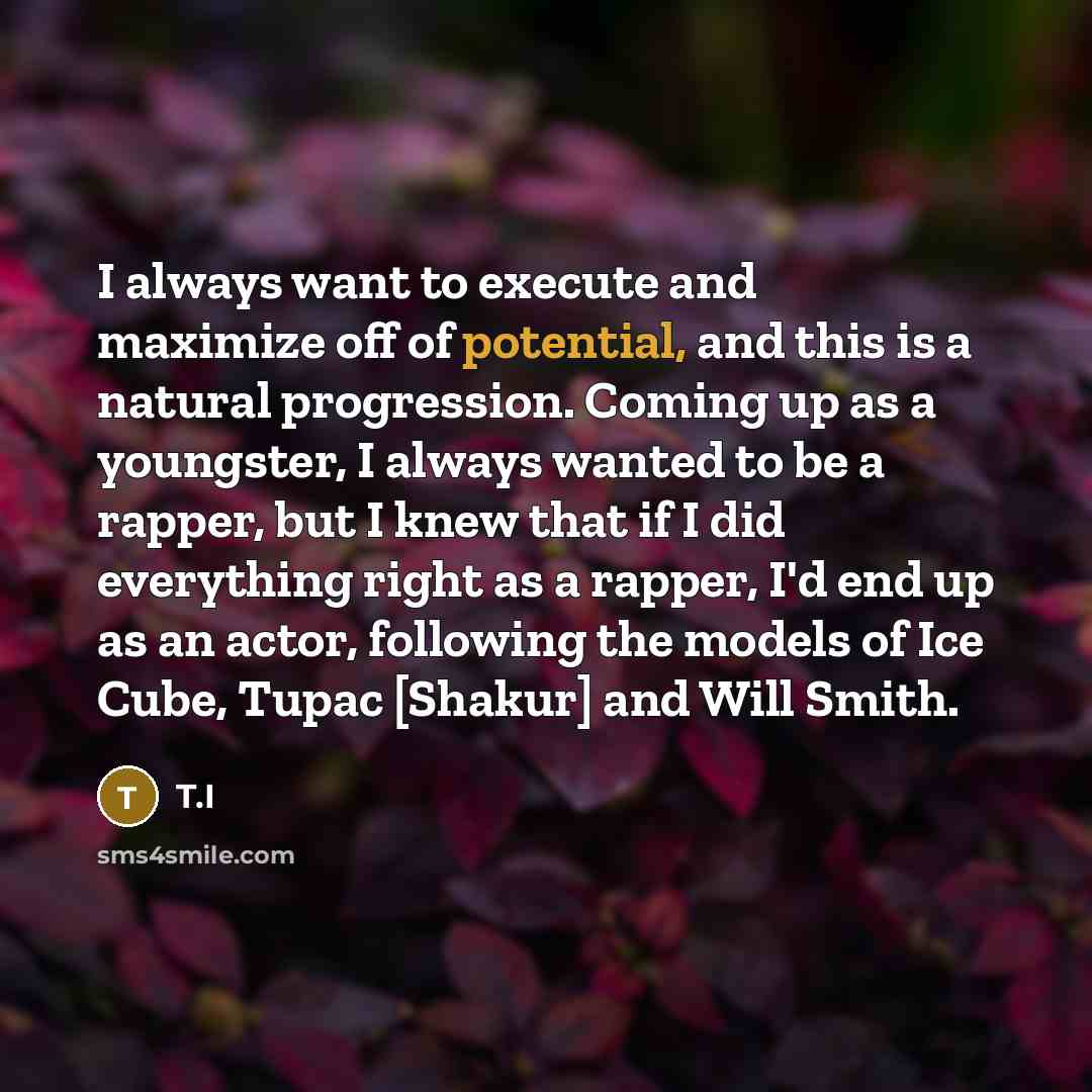 “I always want to execute and maximize off of potential,…” quote by T.I