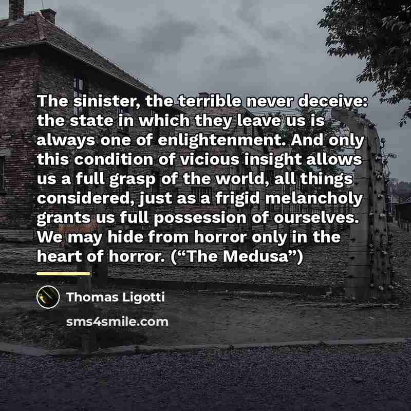 “The sinister, the terrible never deceive: the state in which…” quote by Thomas Ligotti