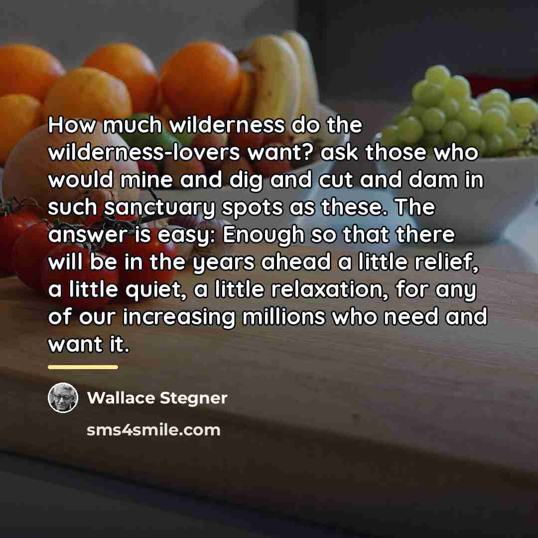 “How much wilderness do the wilderness-lovers want? ask those who…” quote by Wallace Stegner