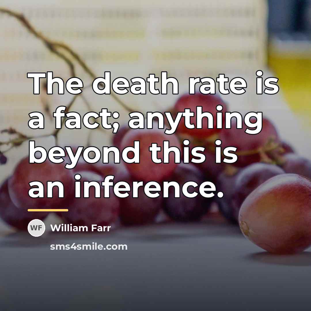 “The death rate is a fact; anything beyond this is…” quote by William Farr