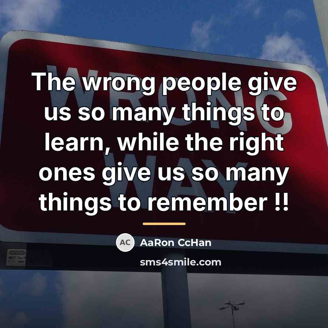 “The wrong people give us so many things to learn,…” quote by AaRon CcHan