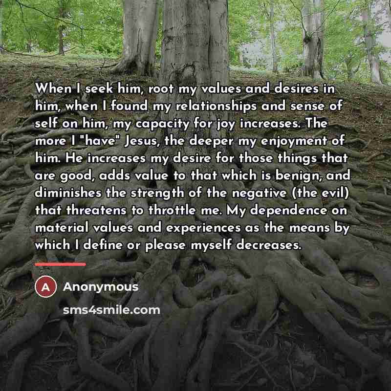 “When I seek him, root my values and desires in…” quote by Anonymous