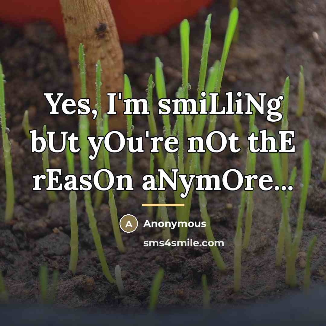 “Yes, I'm smiLliNg bUt yOu're nOt thE rEasOn aNymOre...…” quote by Anonymous
