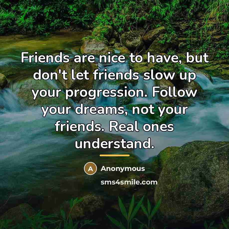 “Friends are nice to have, but don't let friends slow…” quote by Anonymous