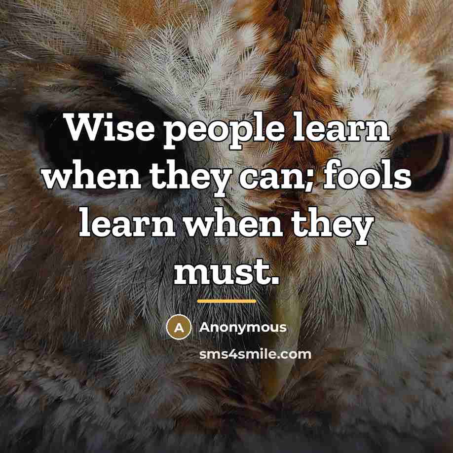 “Wise people learn when they can; fools learn when they…” quote by Anonymous