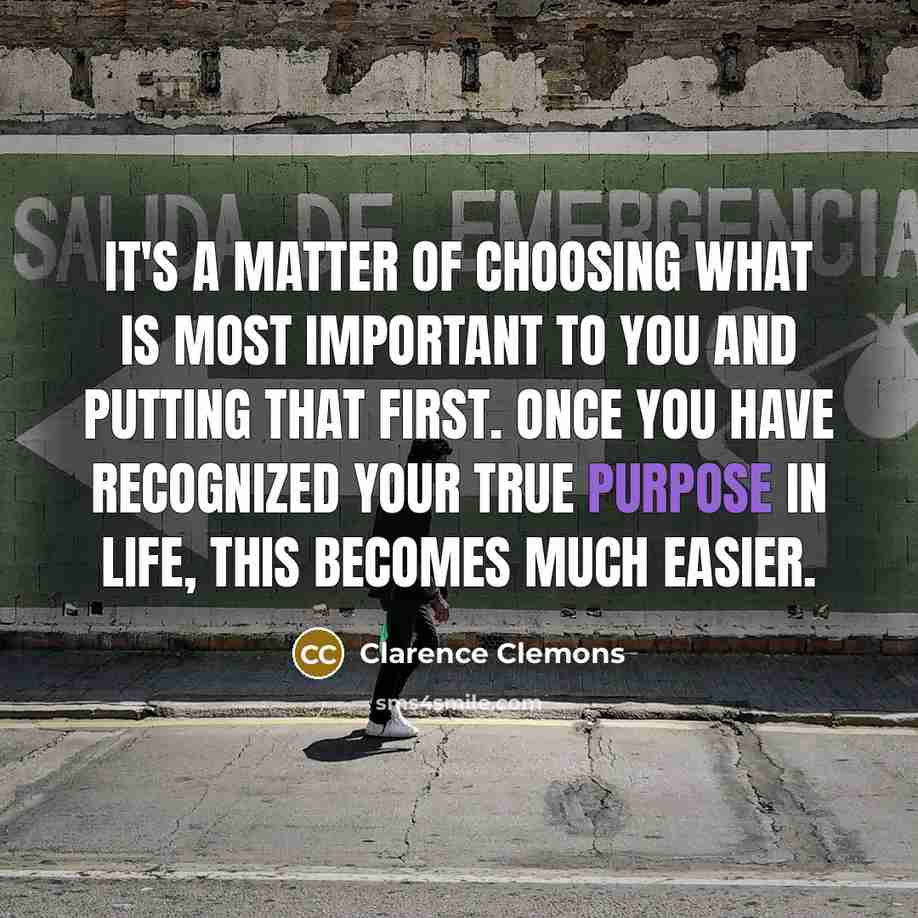 “It's a matter of choosing what is most important to…” quote by Clarence Clemons