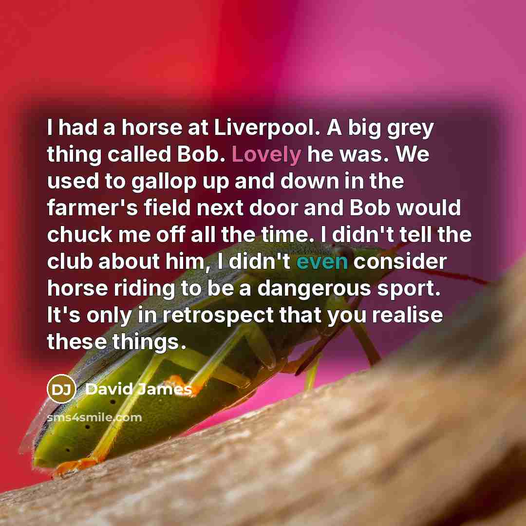 “I had a horse at Liverpool. A big grey thing…” quote by David James