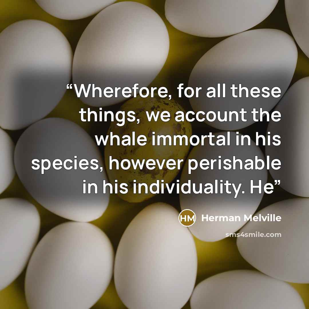 “Wherefore, for all these things, we account the whale immortal in his species, however perishable in his individuality. He” quote by Herman Melville
