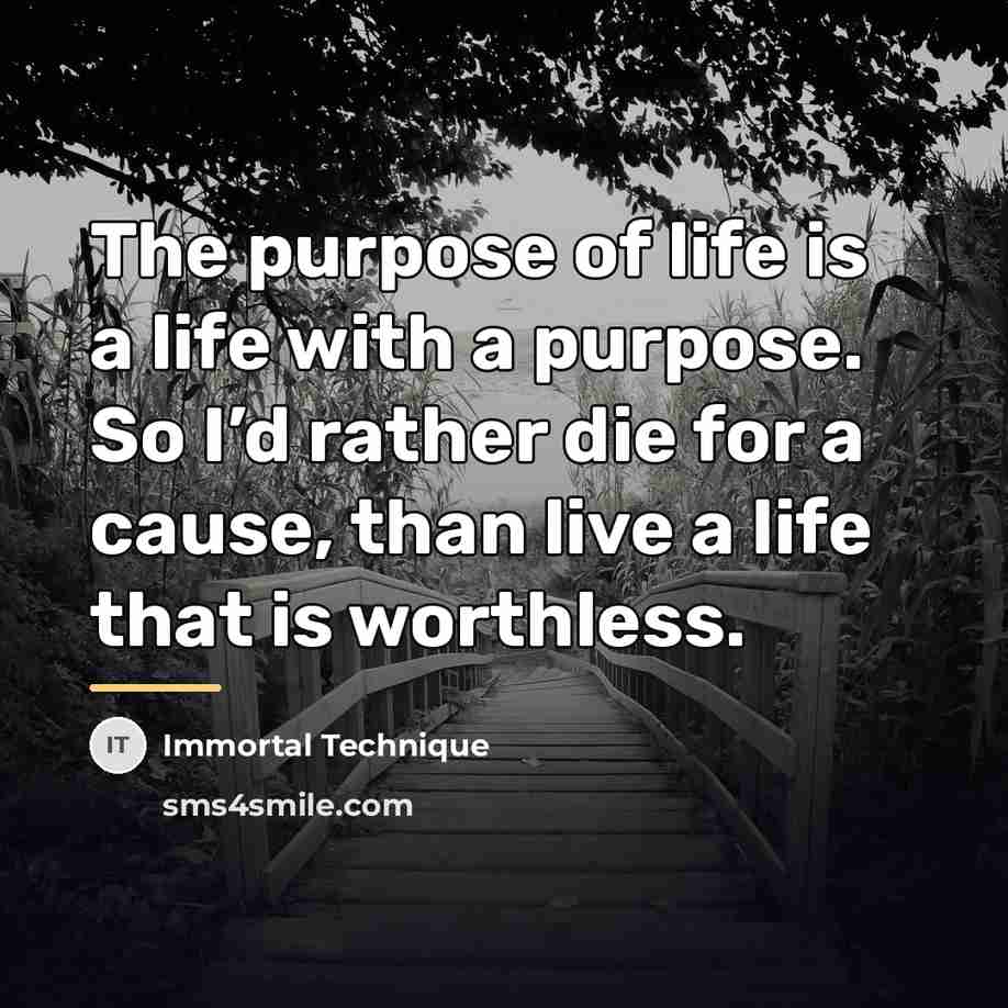 “The purpose of life is a life with a purpose.…” quote by Immortal Technique