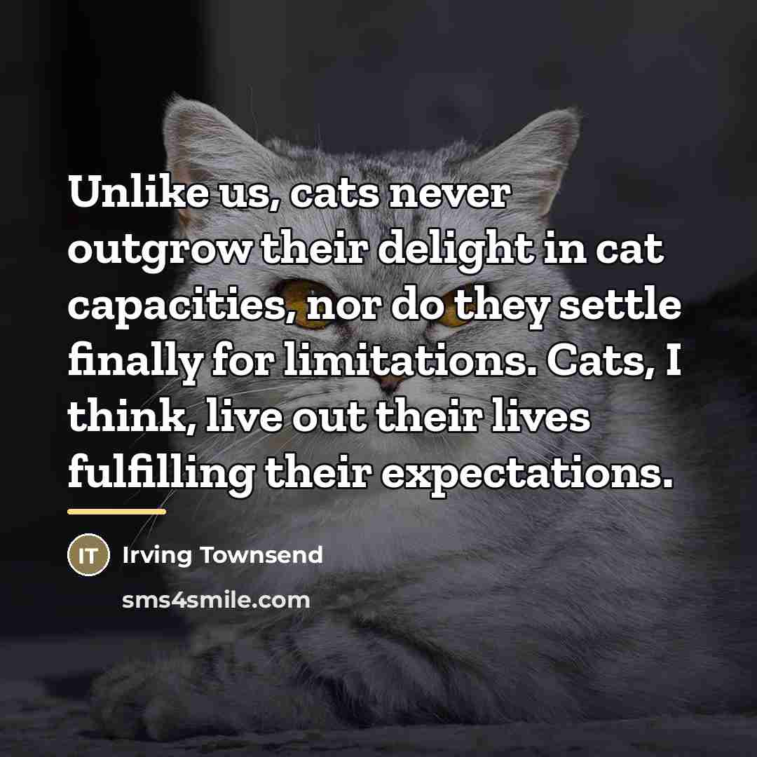 “Unlike us, cats never outgrow their delight in cat capacities,…” quote by Irving Townsend