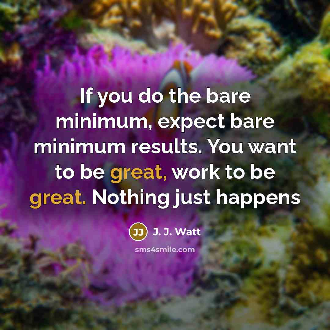 “If you do the bare minimum, expect bare minimum results.…” quote by J. J. Watt