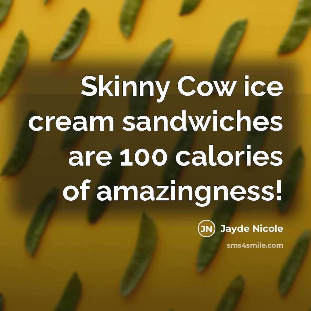 “Skinny Cow ice cream sandwiches are 100 calories of amazingness!” quote by Jayde Nicole