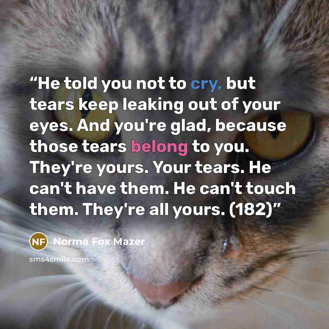 “He told you not to cry, but tears keep leaking out of your eyes. And you're glad, because those tears belong to you. They're yours. Your tears. He can't have them. He can't touch them. They're all yours. (182)” quote by Norma Fox Mazer