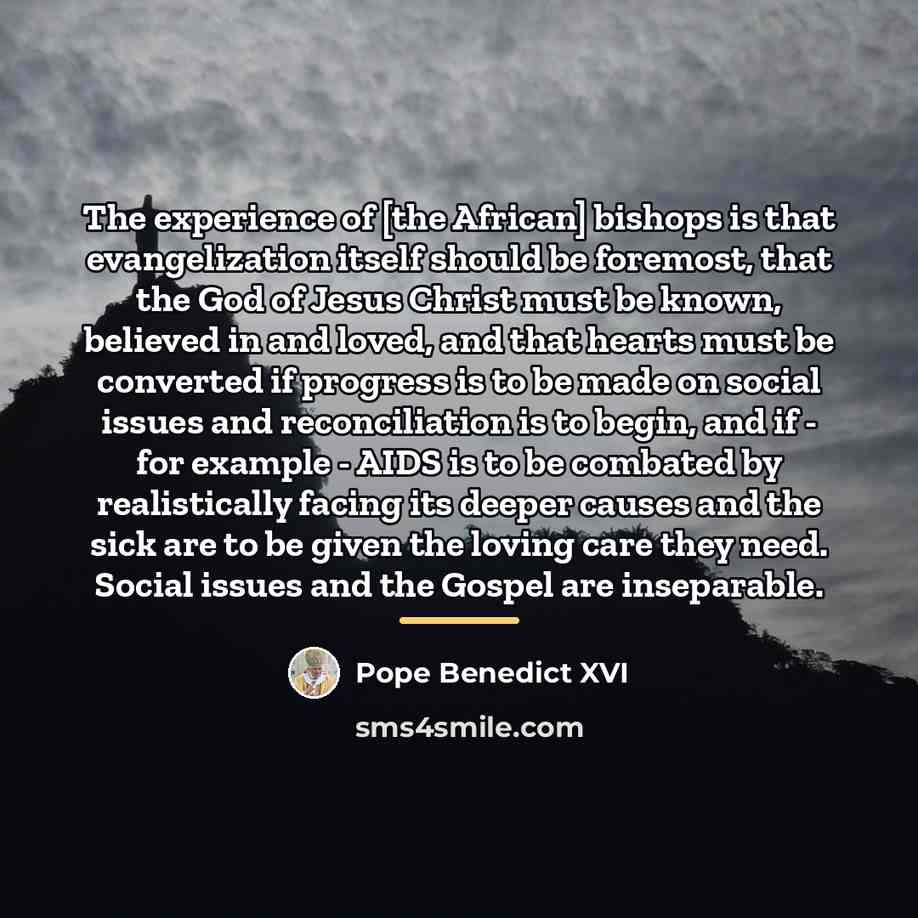 “The experience of [the African] bishops is that evangelization itself…” quote by Pope Benedict XVI