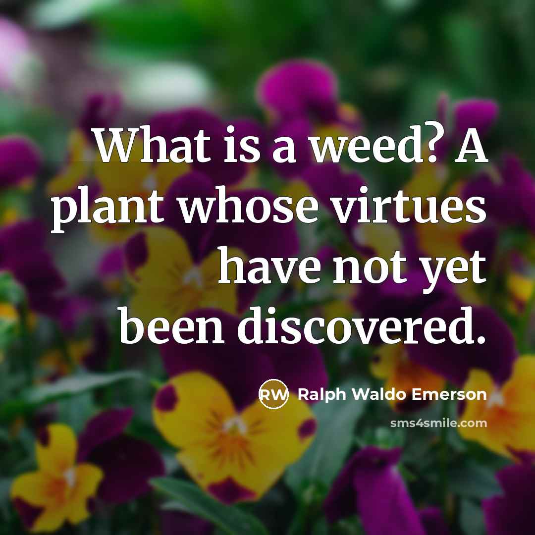 “What is a weed? A plant whose virtues have not…” quote by Ralph Waldo Emerson