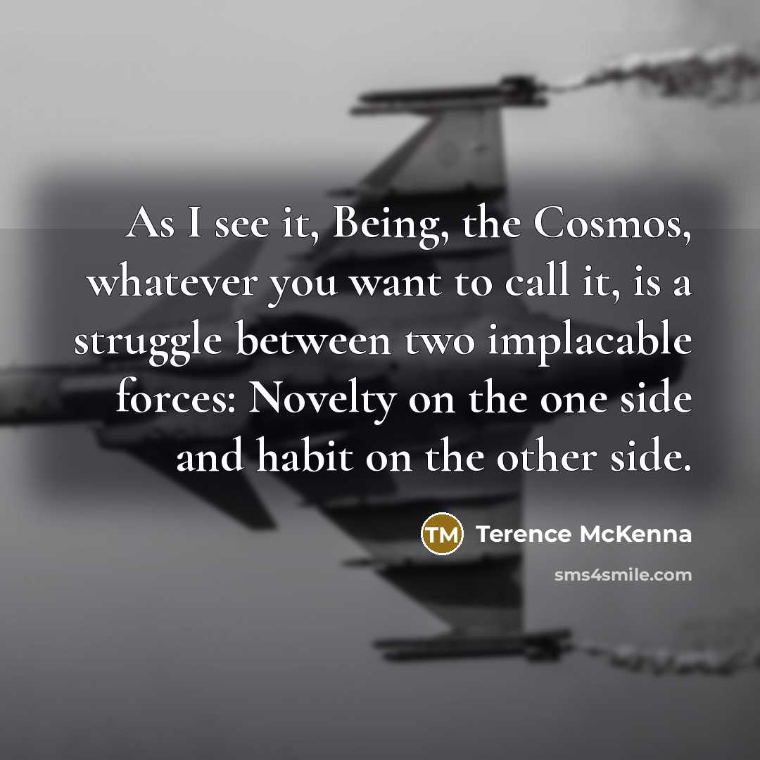 “As I see it, Being, the Cosmos, whatever you want…” quote by Terence McKenna