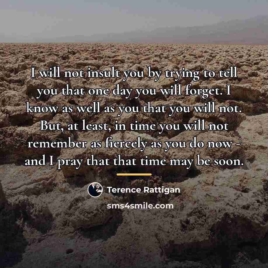 “I will not insult you by trying to tell you…” quote by Terence Rattigan