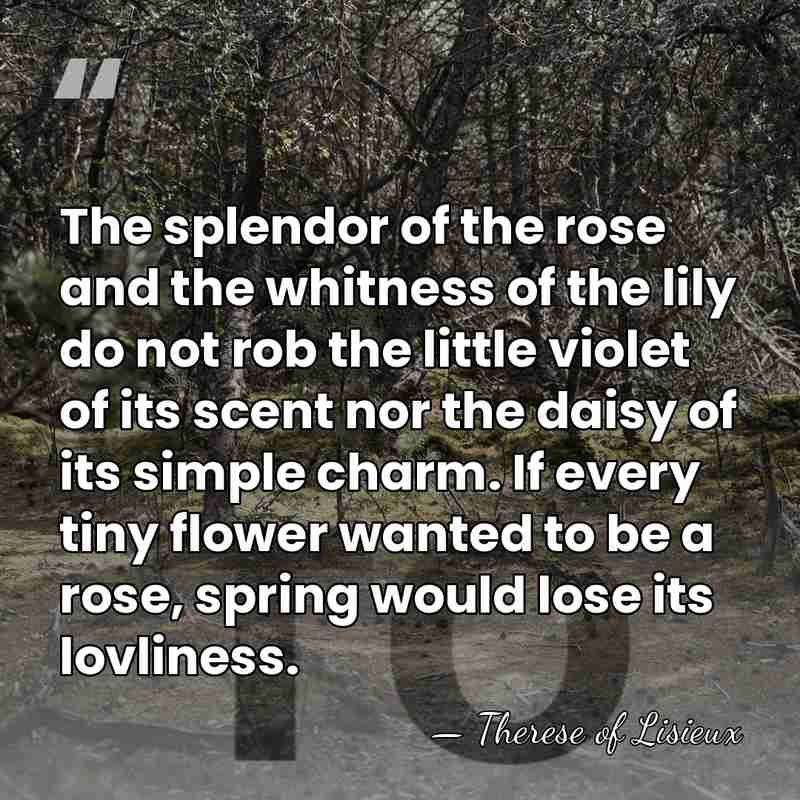 The splendor of the rose and the whitness of the lily do&hellip; - Therese Of Lisieux