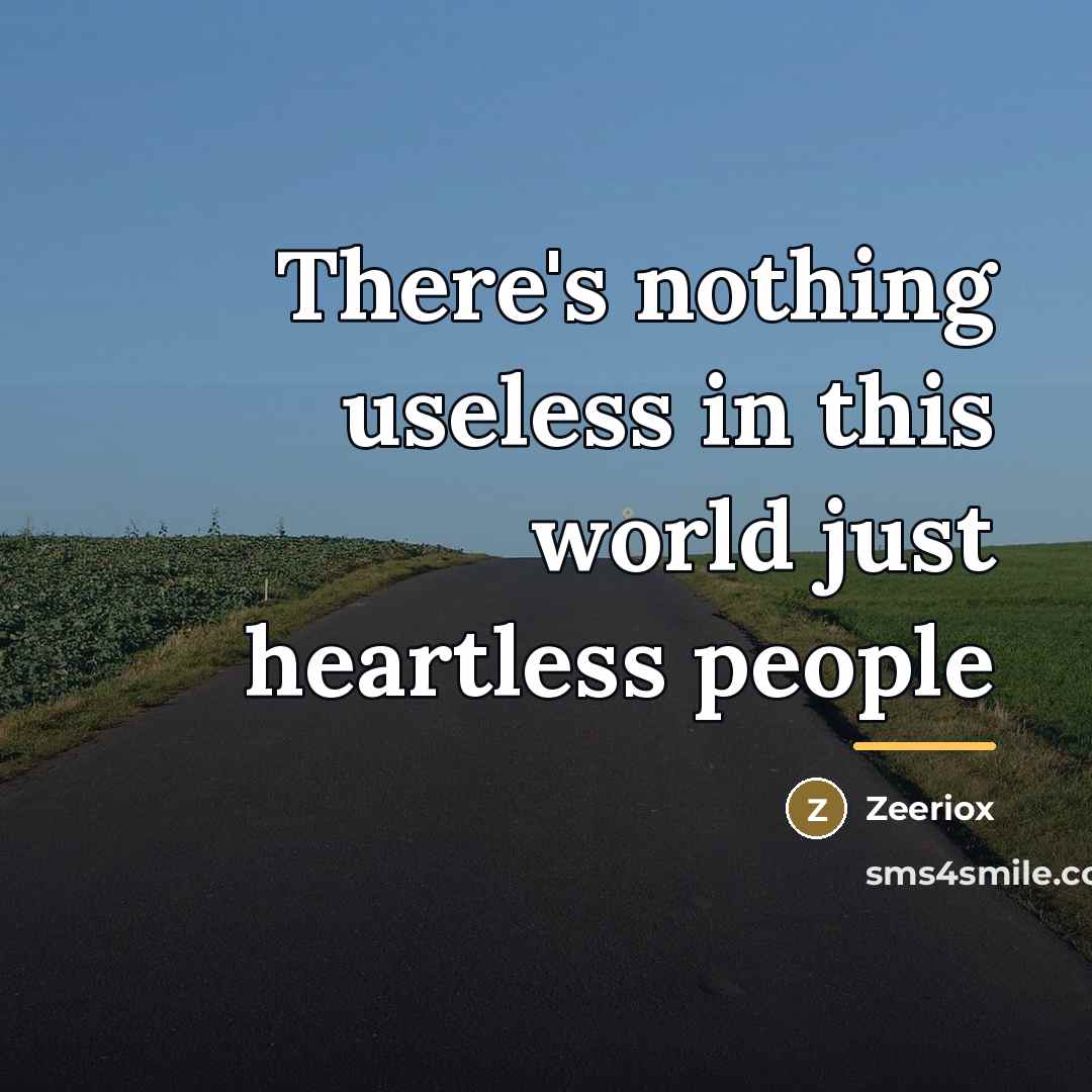 “There's nothing useless in this world just heartless people…” quote by ZeerioX
