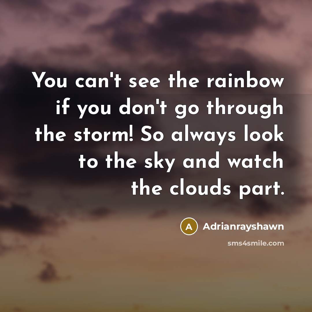 “You can't see the rainbow if you don't go through the storm! So always look to the sky and watch the clouds part.” quote by Adrianrayshawn