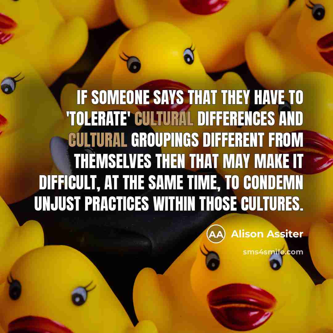 “If someone says that they have to 'tolerate' cultural differences…” quote by Alison Assiter
