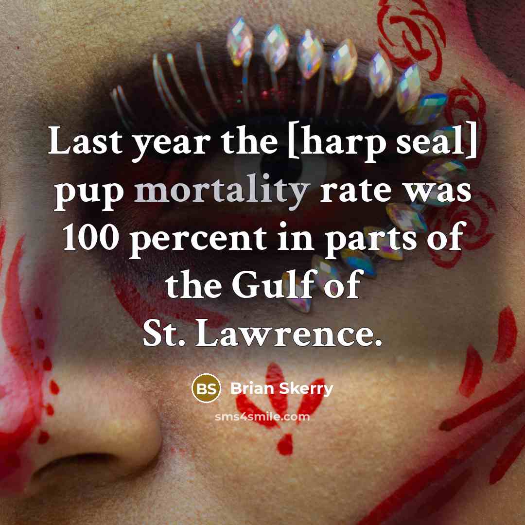“Last year the [harp seal] pup mortality rate was 100…” quote by Brian Skerry