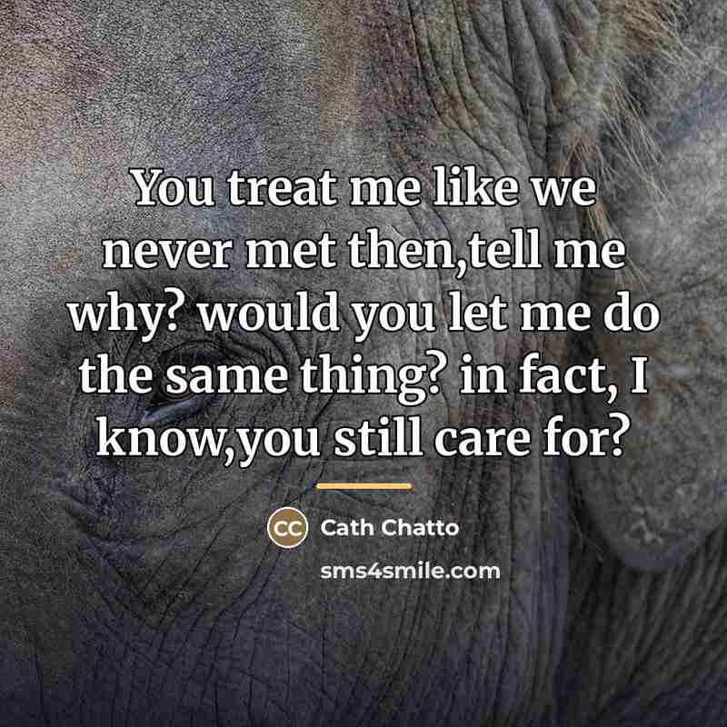 “You treat me like we never met then,tell me why?…” quote by Cath Chatto