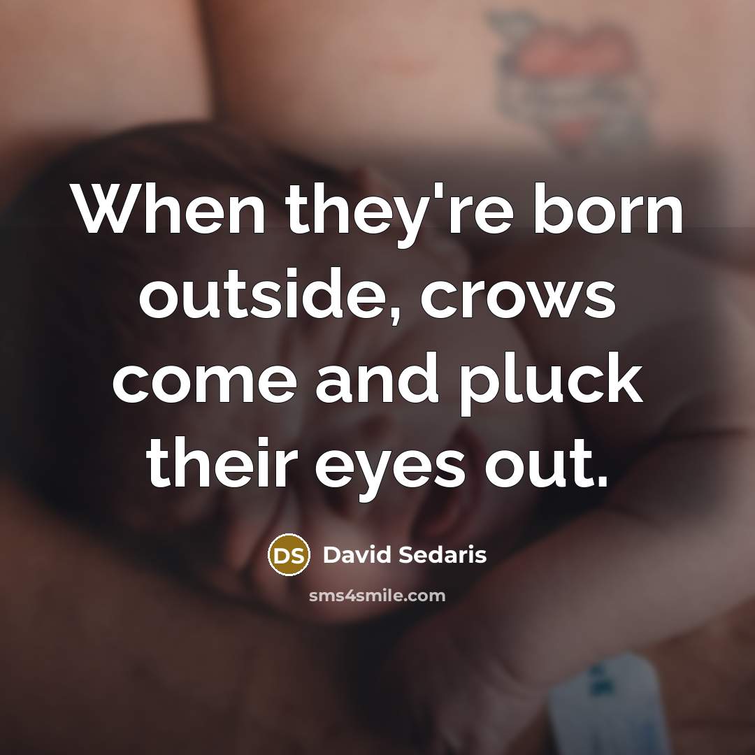“When they're born outside, crows come and pluck their eyes…” quote by David Sedaris