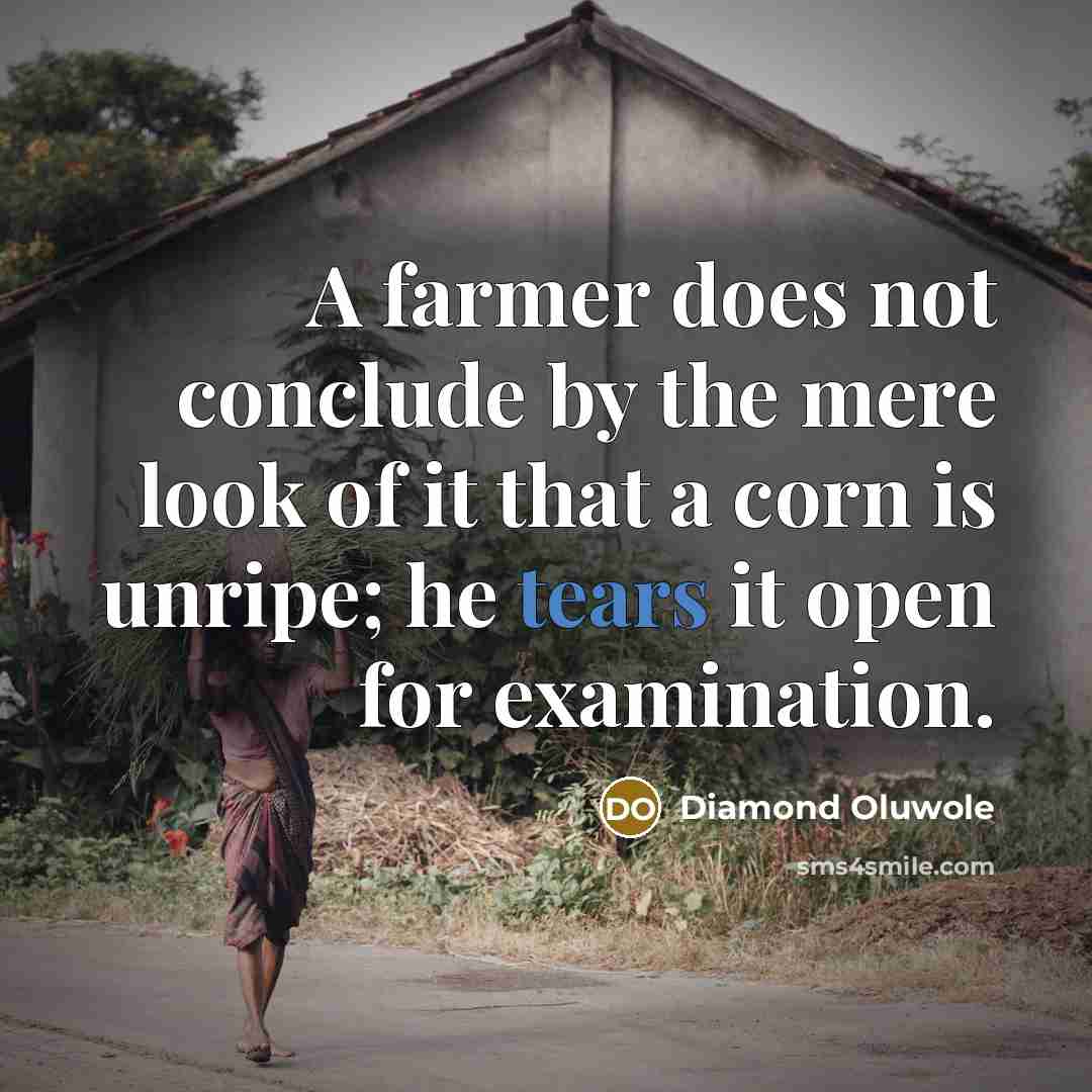 “A farmer does not conclude by the mere look of…” quote by Diamond Oluwole
