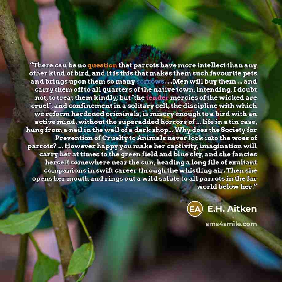 “There can be no question that parrots have more intellect than any other kind of bird, and it is this that makes them such favourite pets and brings upon them so many sorrows. ...Men will buy them ... and carry them off to all quarters of the native town, intending, I doubt not, to treat them…” quote by E.H. Aitken