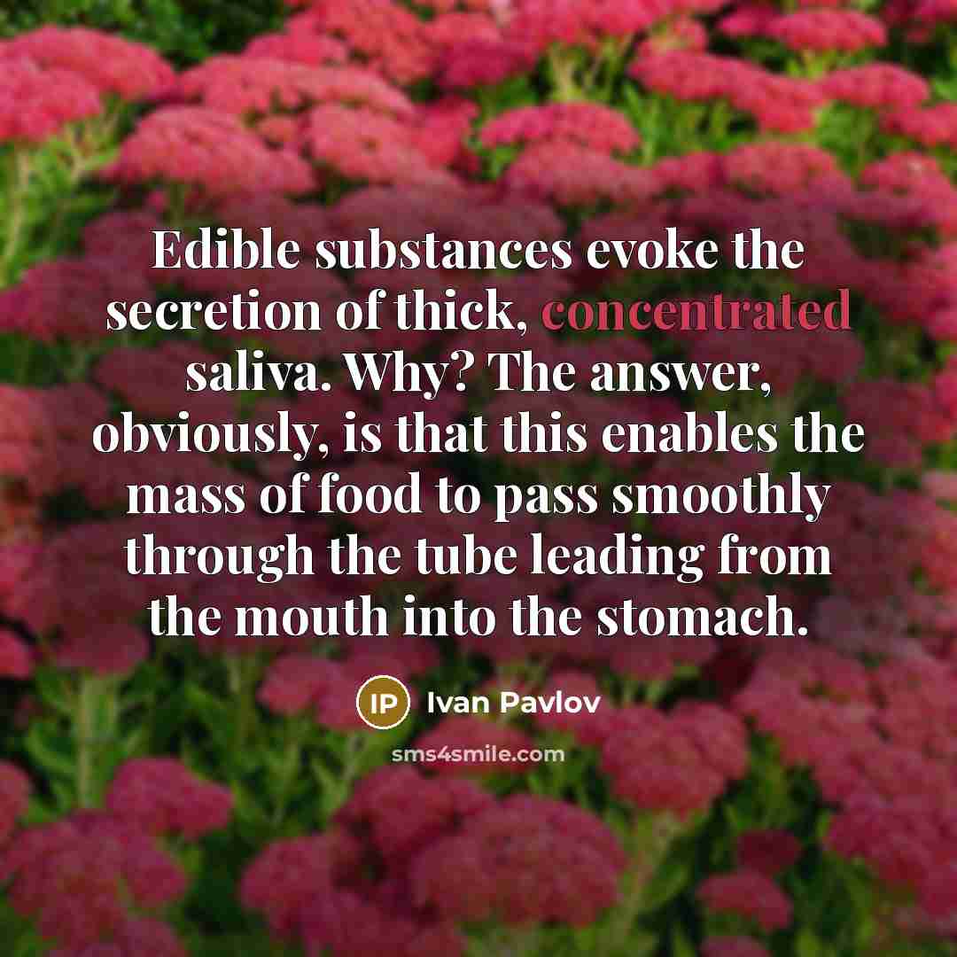 “Edible substances evoke the secretion of thick, concentrated saliva. Why?…” quote by Ivan Pavlov