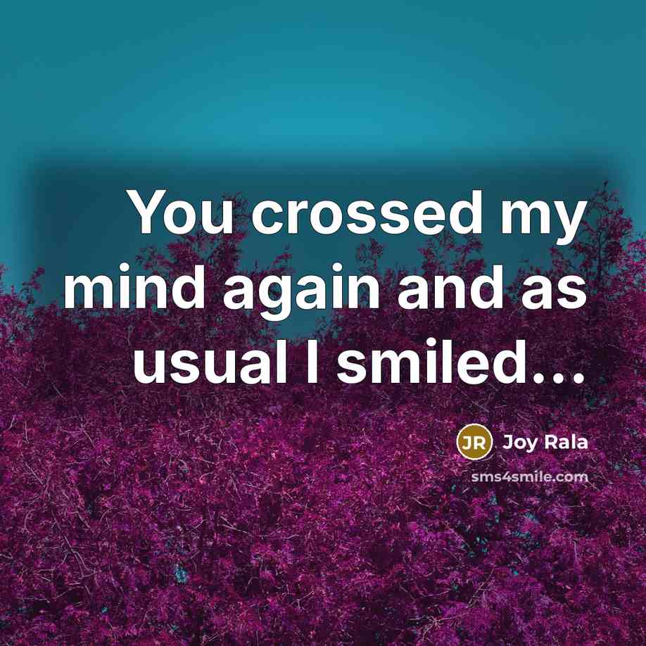 “You crossed my mind again and as usual I smiled...…” quote by Joy Rala
