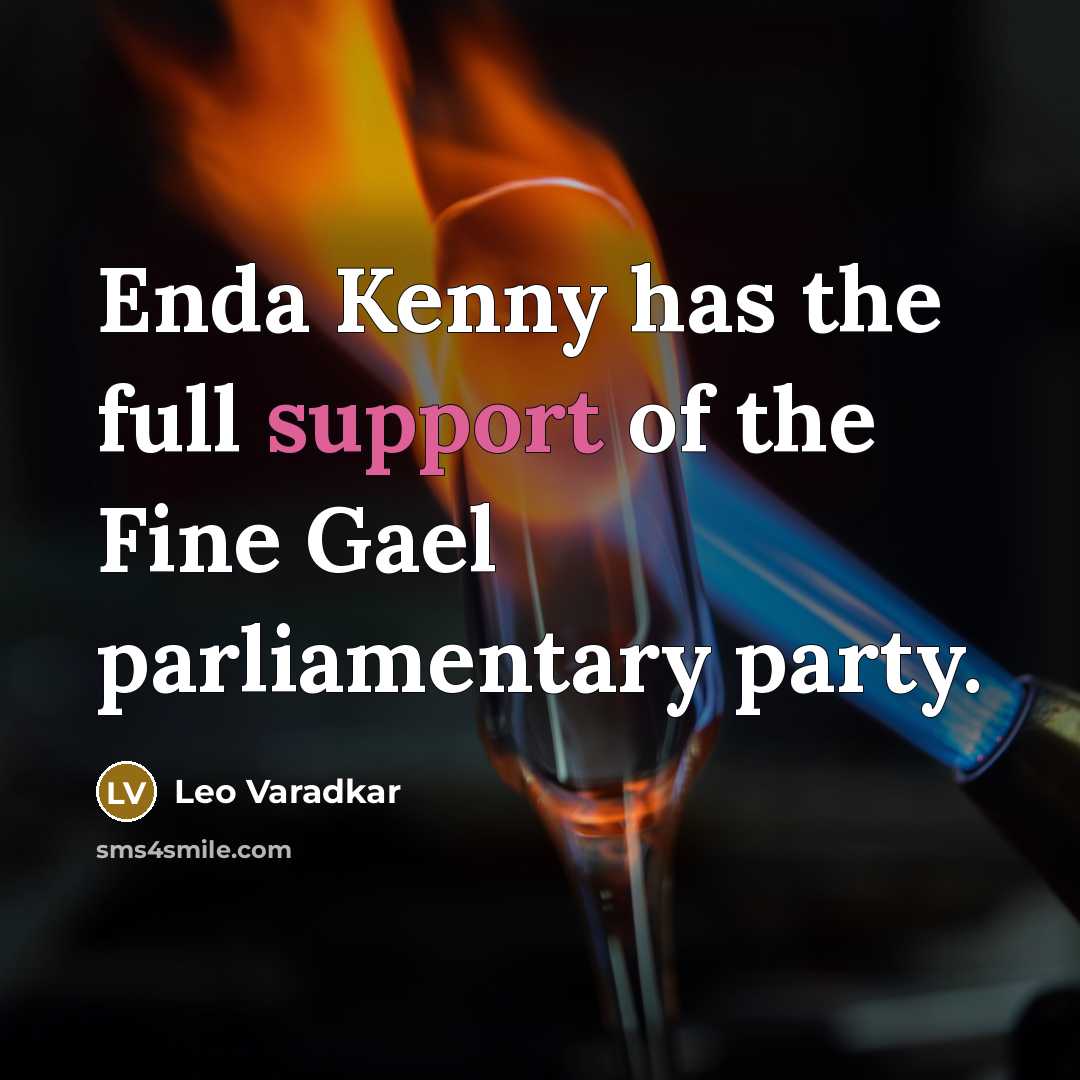 “Enda Kenny has the full support of the Fine Gael…” quote by Leo Varadkar