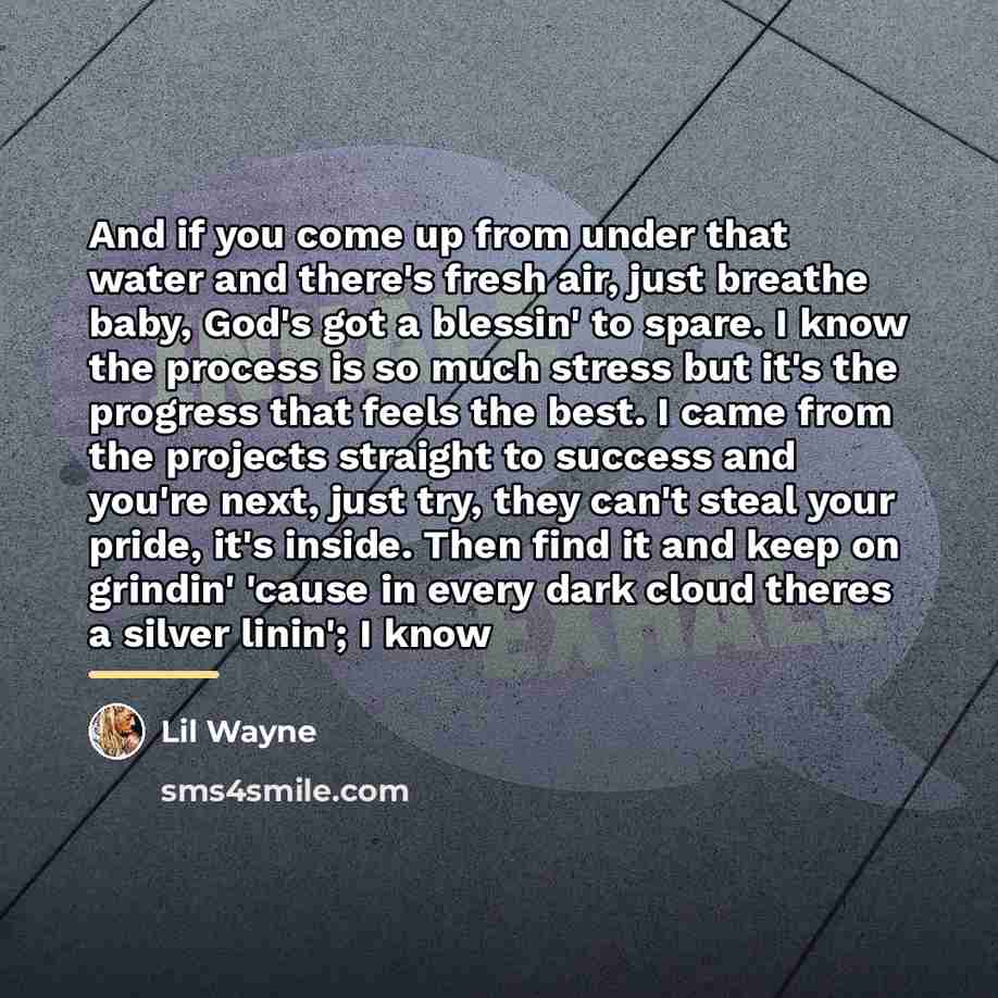 “And if you come up from under that water and…” quote by Lil Wayne