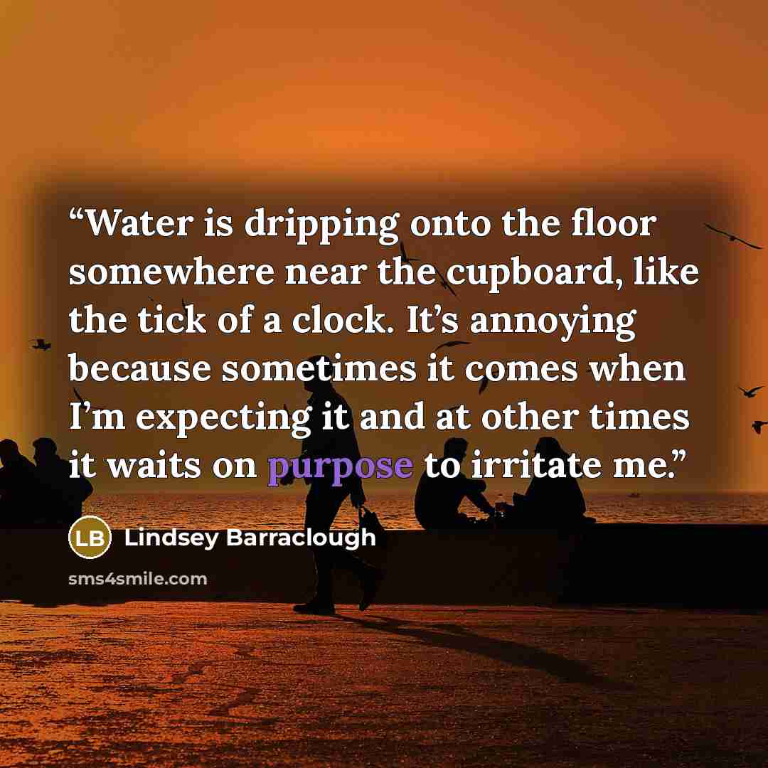 “Water is dripping onto the floor somewhere near the cupboard, like the tick of a clock. It’s annoying because sometimes it comes when I’m expecting it and at other times it waits on purpose to irritate me.” quote by Lindsey Barraclough
