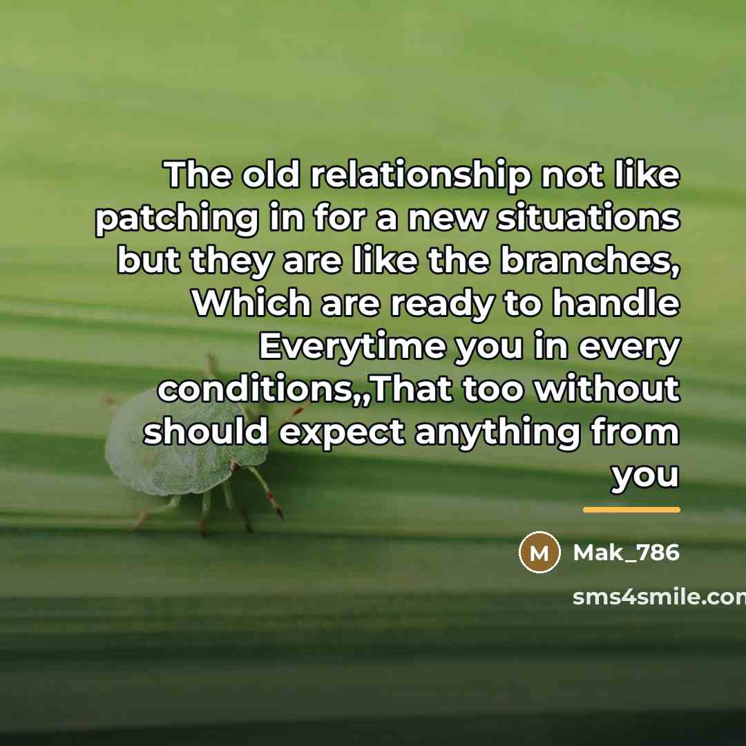 “The old relationship not like patching in for a new…” quote by Mak_786