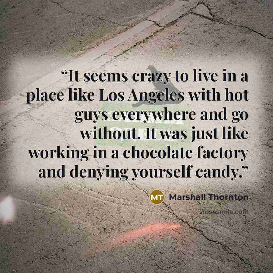 “It seems crazy to live in a place like Los Angeles with hot guys everywhere and go without. It was just like working in a chocolate factory and denying yourself candy.” quote by Marshall Thornton