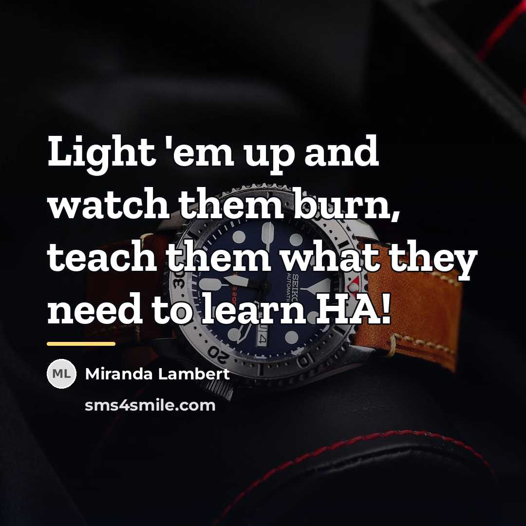 “Light 'em up and watch them burn, teach them what…” quote by Miranda Lambert